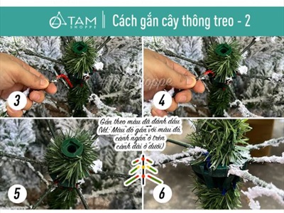 Cây thông Noel phủ tuyết A4 [Cao 1m5-4m5] X-TREE-17